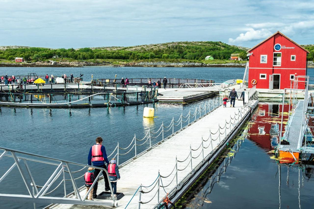Hotel Norsk Havbrukssenter - Rorbuer Bronnoysund Exteriér fotografie