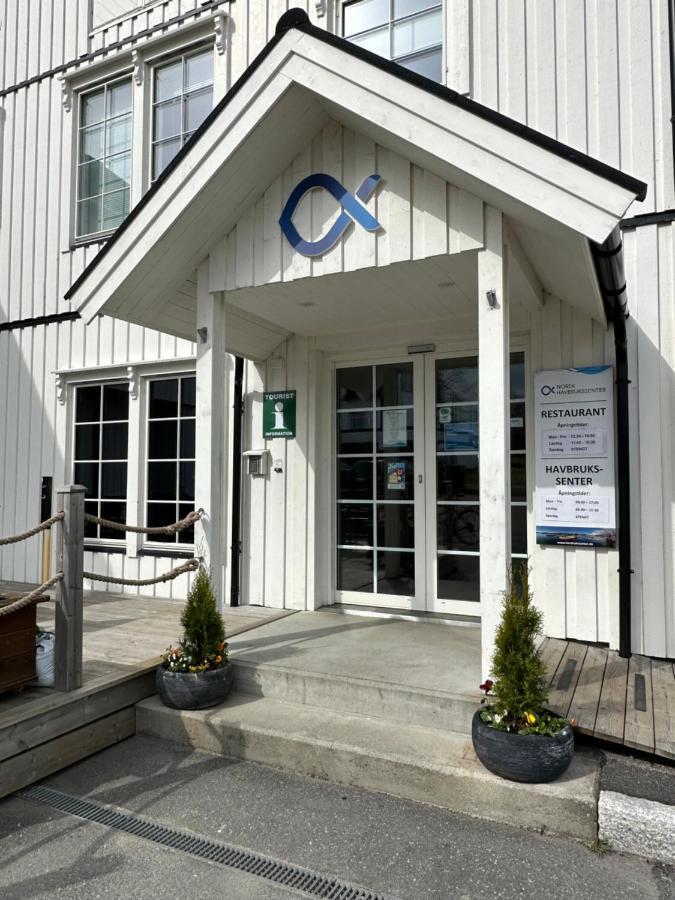 Hotel Norsk Havbrukssenter - Rorbuer Bronnoysund Exteriér fotografie