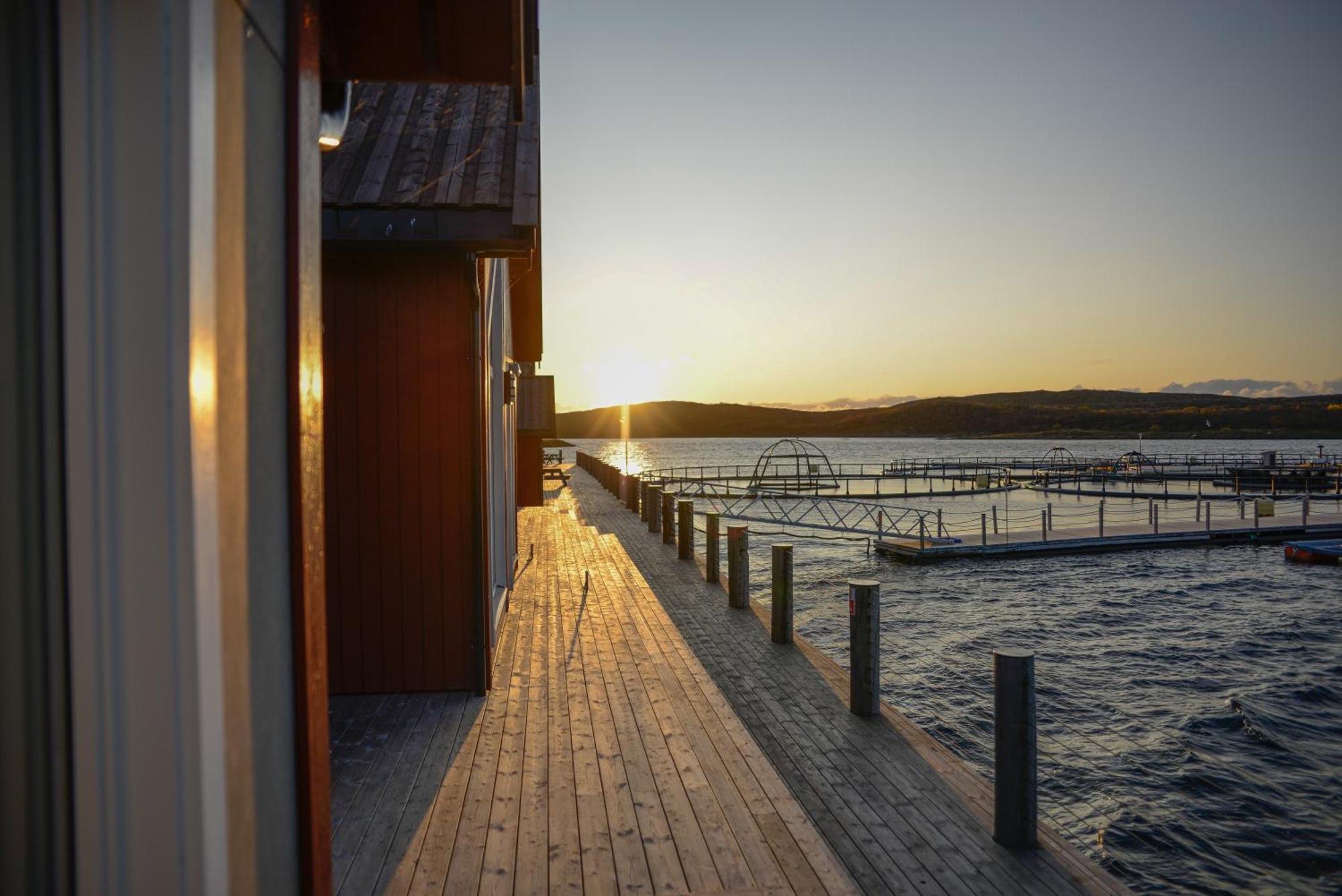 Hotel Norsk Havbrukssenter - Rorbuer Bronnoysund Exteriér fotografie
