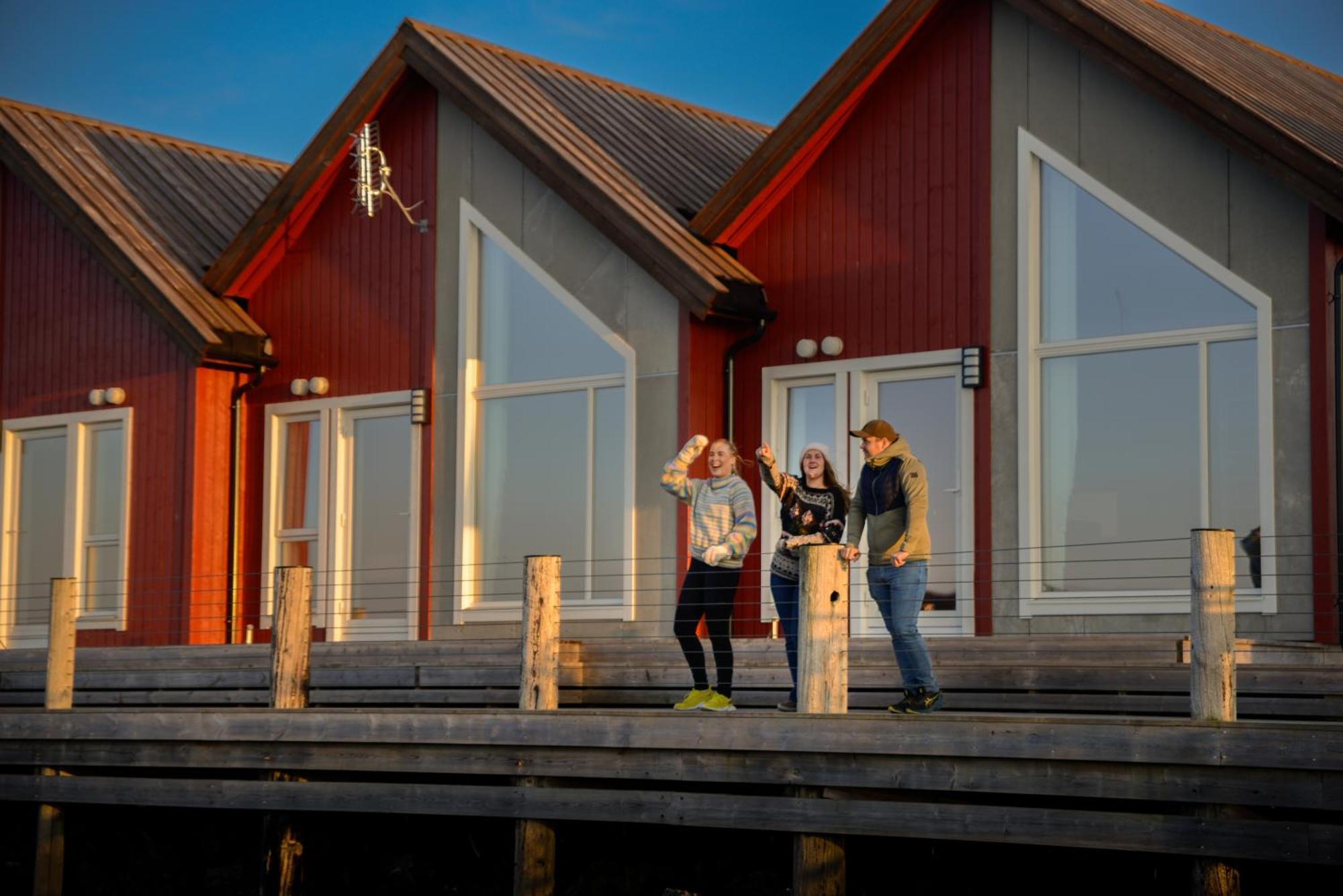 Hotel Norsk Havbrukssenter - Rorbuer Bronnoysund Exteriér fotografie